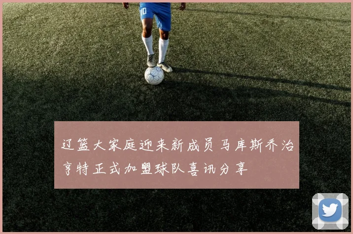 辽篮大家庭迎来新成员马库斯乔治亨特正式加盟球队喜讯分享