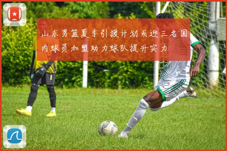 山东男篮夏季引援计划或迎三名国内球员加盟助力球队提升实力